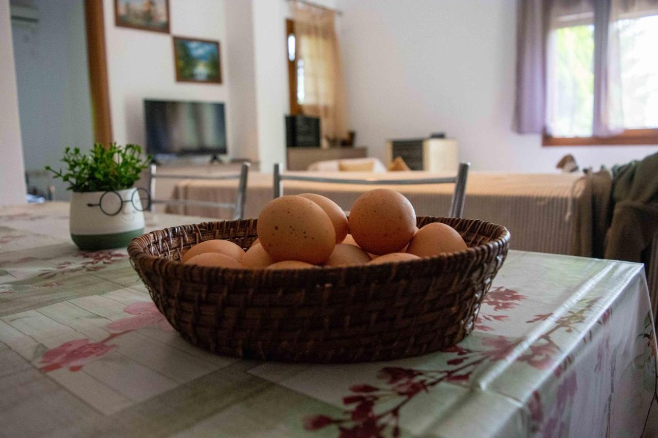 Efi'S Guest House Áyios Dhimítrios Extérieur photo