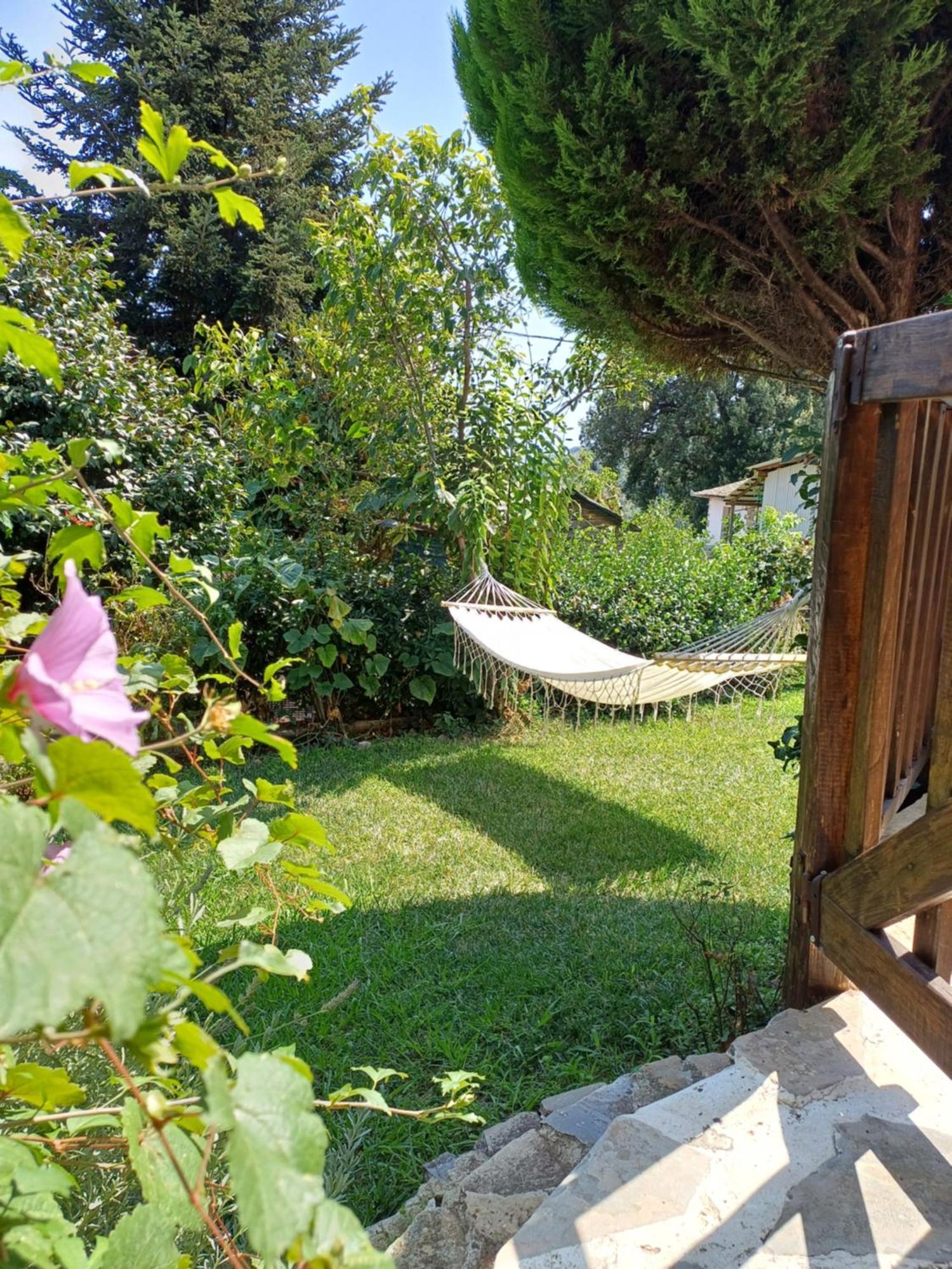 Efi'S Guest House Áyios Dhimítrios Extérieur photo
