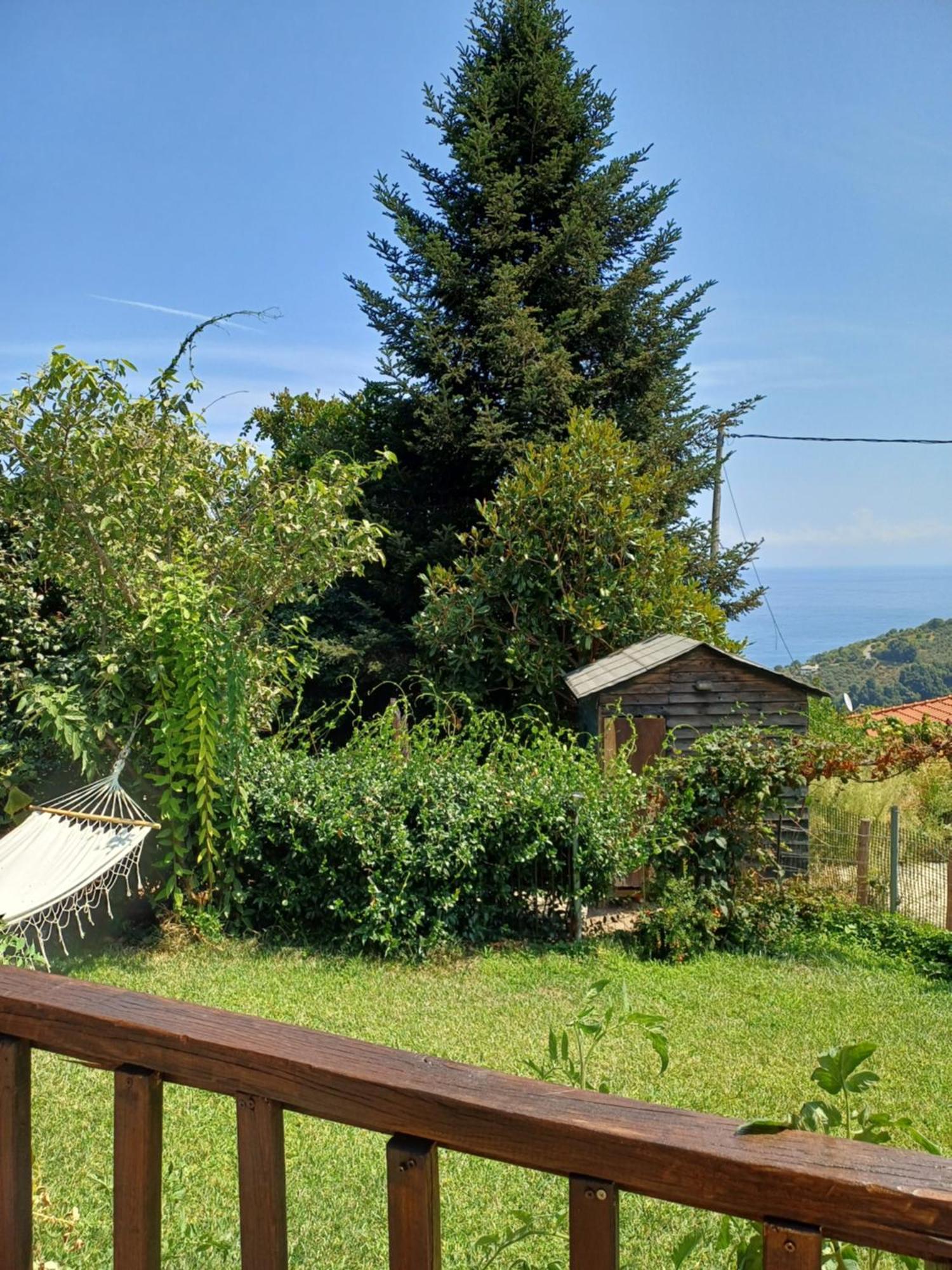 Efi'S Guest House Áyios Dhimítrios Extérieur photo