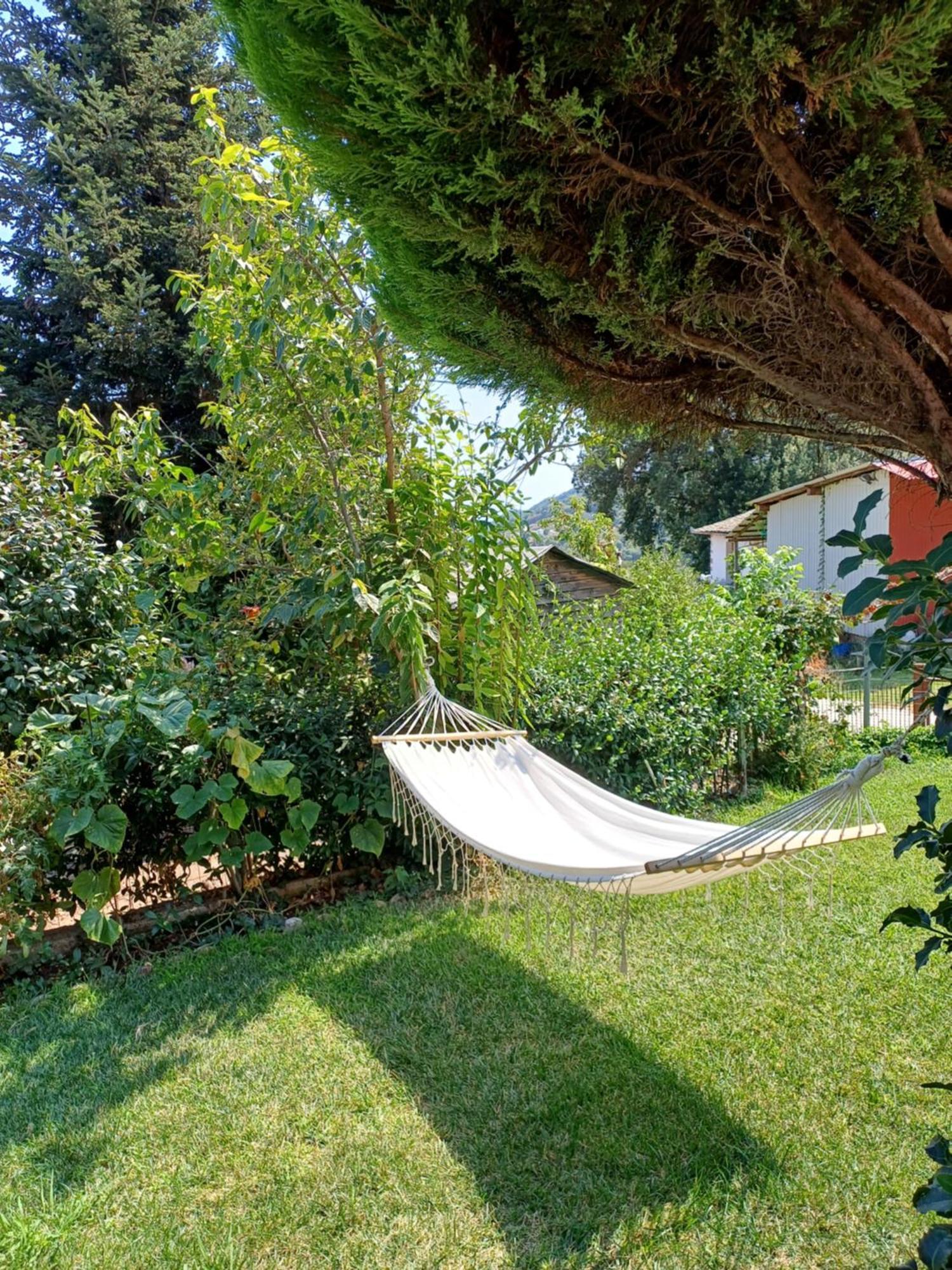 Efi'S Guest House Áyios Dhimítrios Extérieur photo
